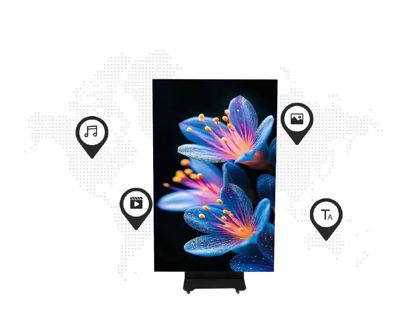 Cloud DMS management